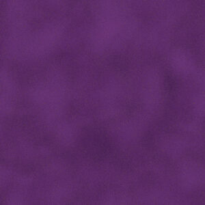 Shadow Blush 4567 Purple