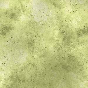 Kanvas Studio New Hey 8673-49 lichtgroen